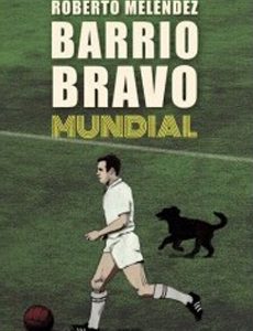 Barrio Bravo Mundial