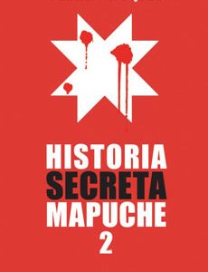 Historia Secreta Mapuche 2 - Pedro Cayuqueo